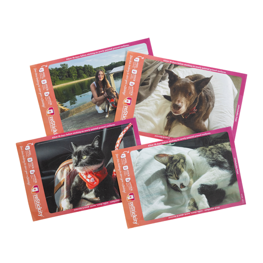 FOUR - 5x7 reStickitys Photo Bundle